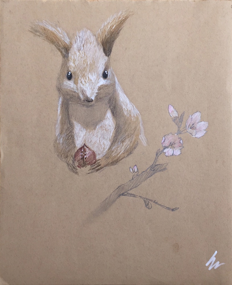 エゾリス・桜