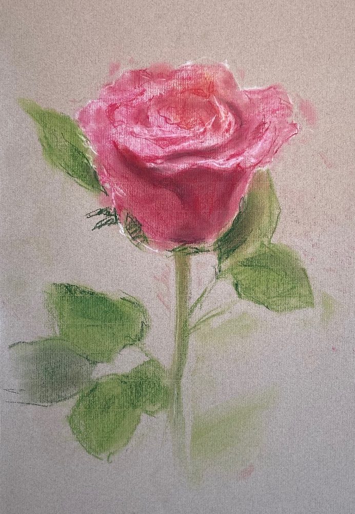 薔薇2