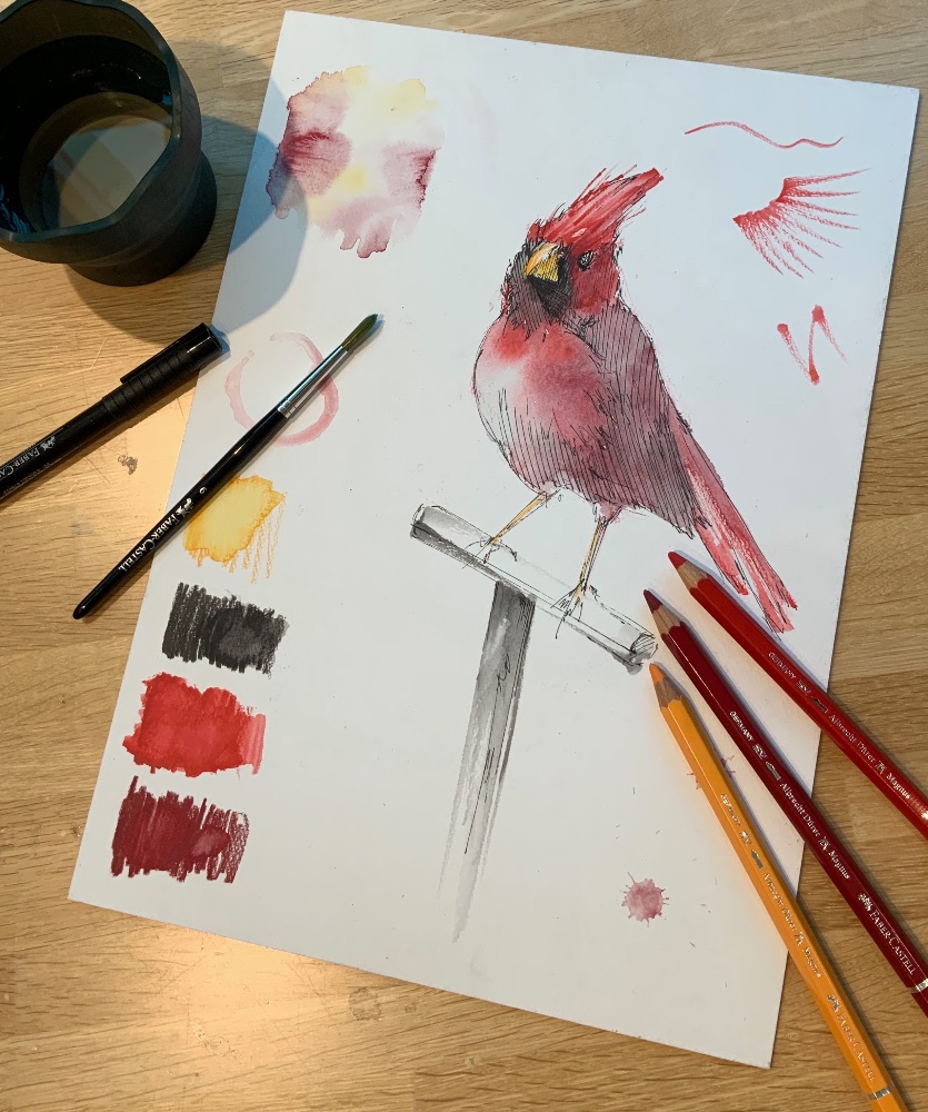 鳥