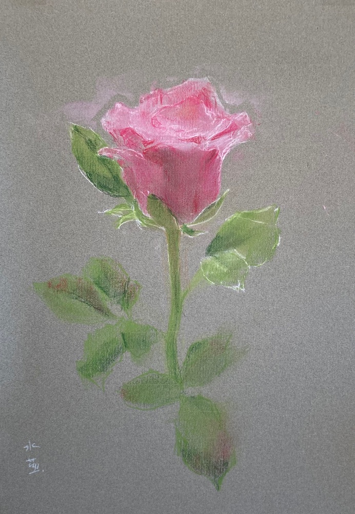 薔薇