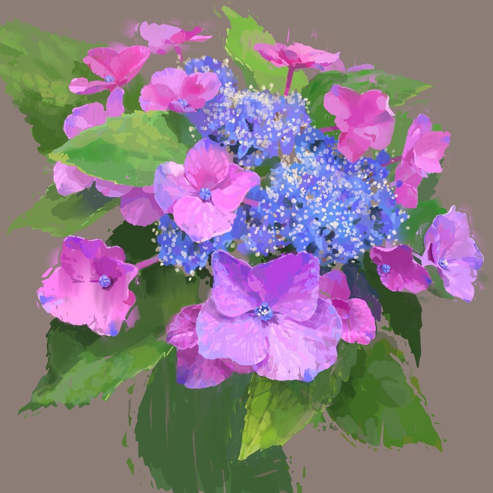 紫陽花