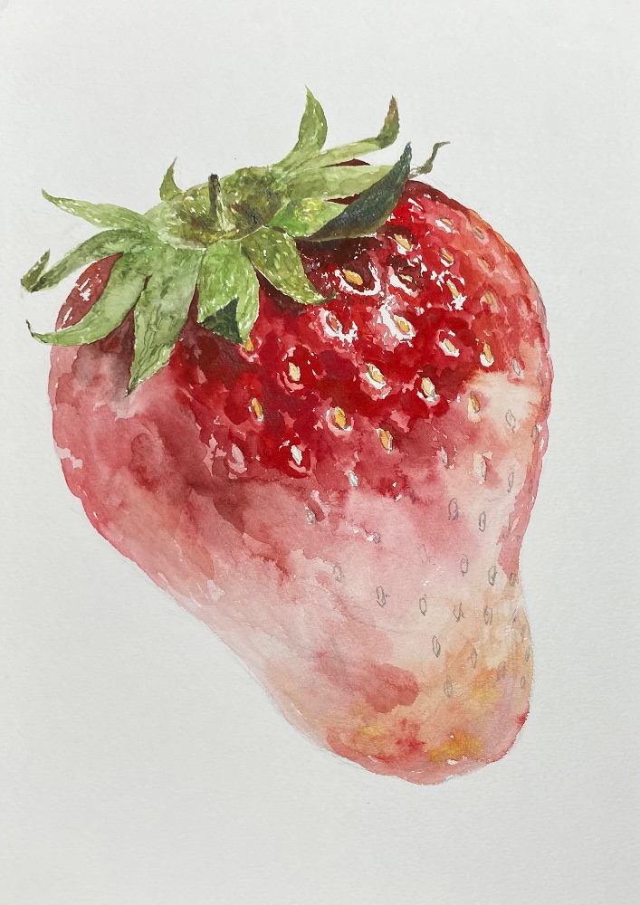 イチゴの水彩描写のイメージ 2