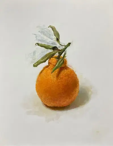 デコポン 不知火