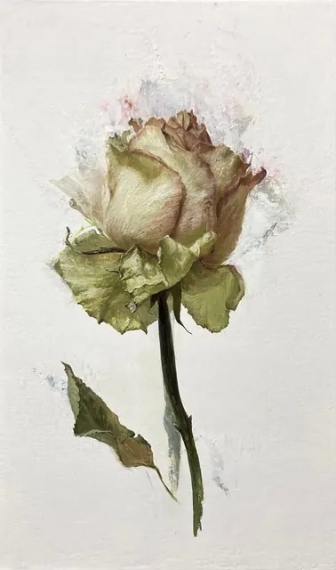 薔薇