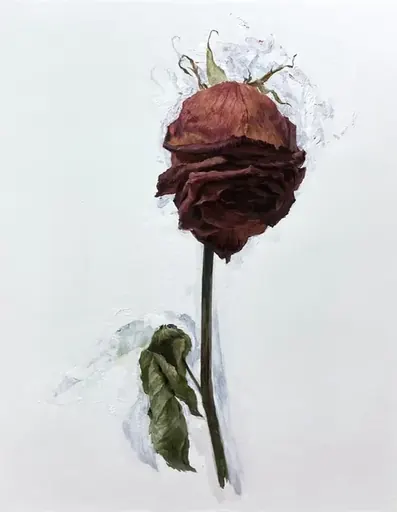 薔薇