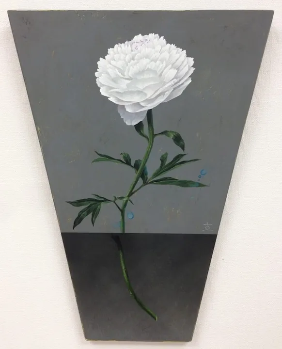 芍薬