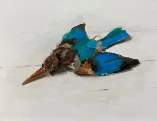 アオショウビン