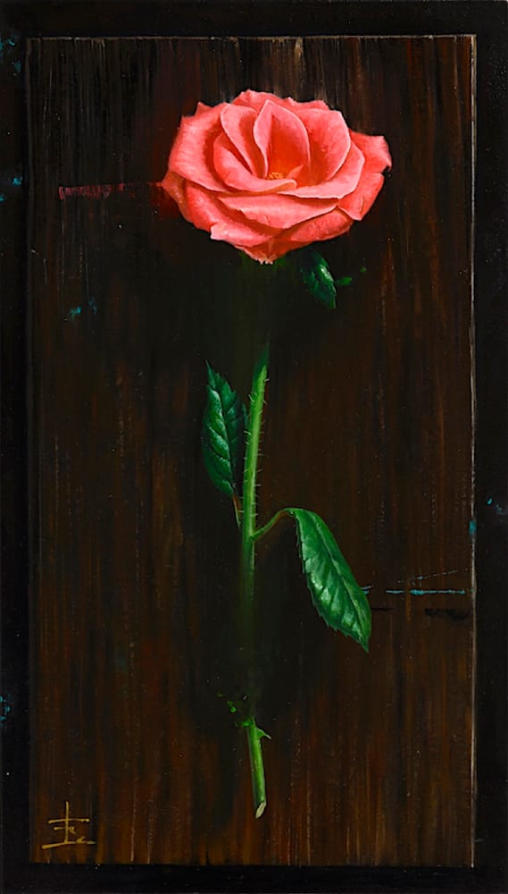 光の中の薔薇